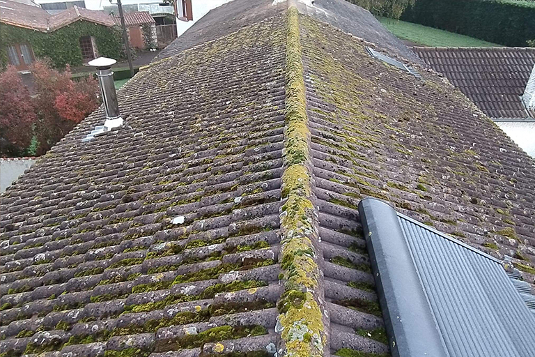  Pro Nettoyage 85 Travaux et nettoyage de toitures à Venansault en Vendée.